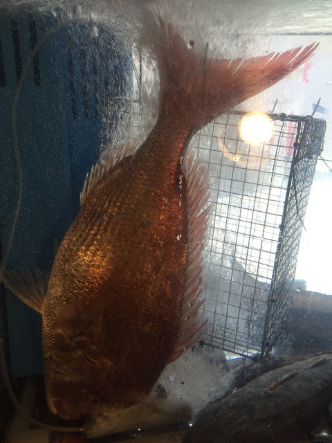 {0A31C579-3C28-46C5-99FC-C3465694E7C2}