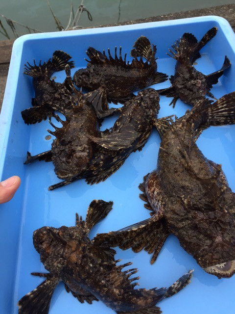 {4D5115FA-ACC7-4B7E-826A-9ACD9258D9C2}