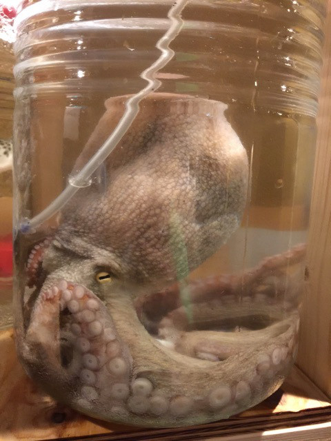 {4F7A8821-5A27-4CD2-A696-A2541FBFF442}