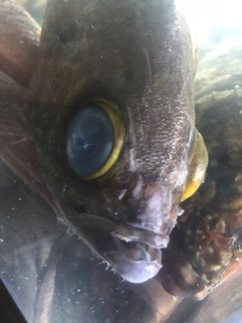 {3D851D60-B439-4FB5-84A2-E42B09128FD7}