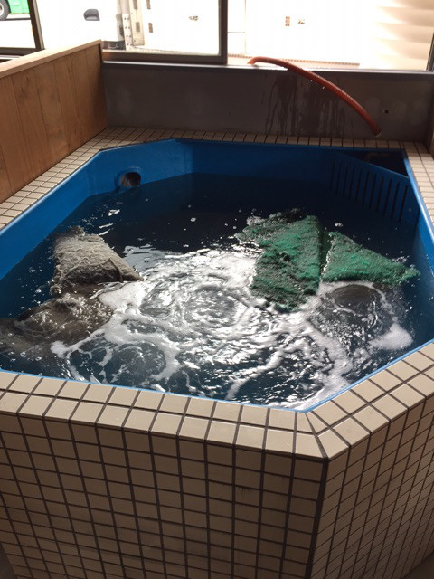 {68438378-8BAB-4673-A6B6-F9F634042326}