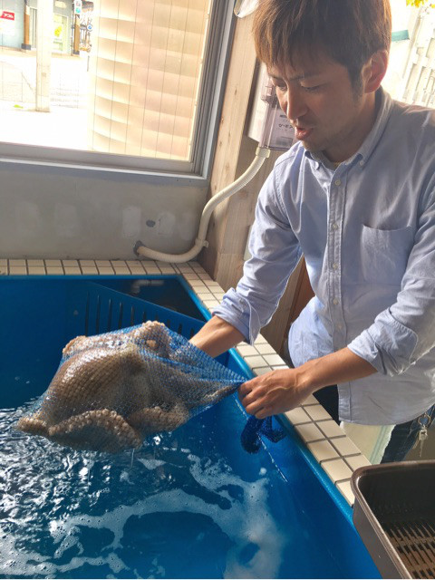 {98330E57-C47B-43CA-814A-71F31300A734}