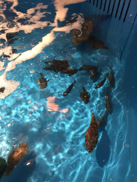 {DD0CF208-7820-42C7-8B65-EDFB148D13EB}