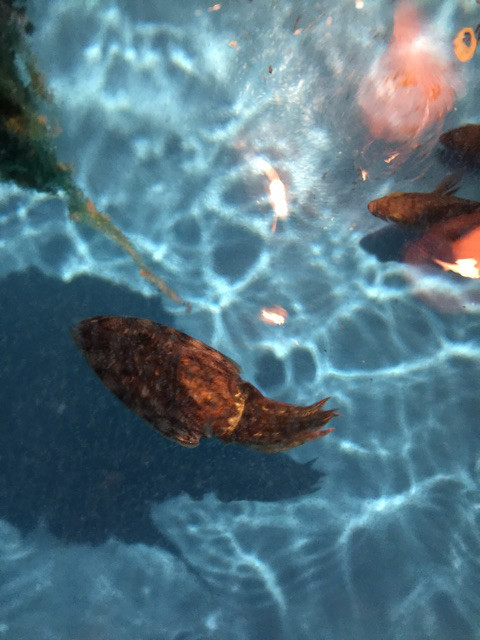 {6C6736FD-F347-4CED-A3CA-0B7060F1172F}