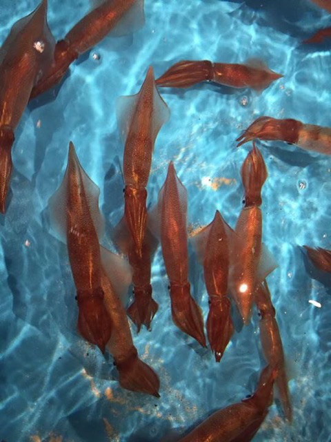 {380E6211-2C53-4402-9AF6-388B815257C4}