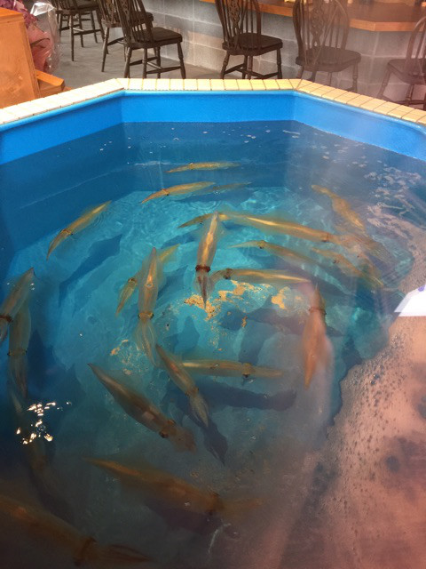 {A156F88C-A142-4C73-B24A-48C2821E97D1}