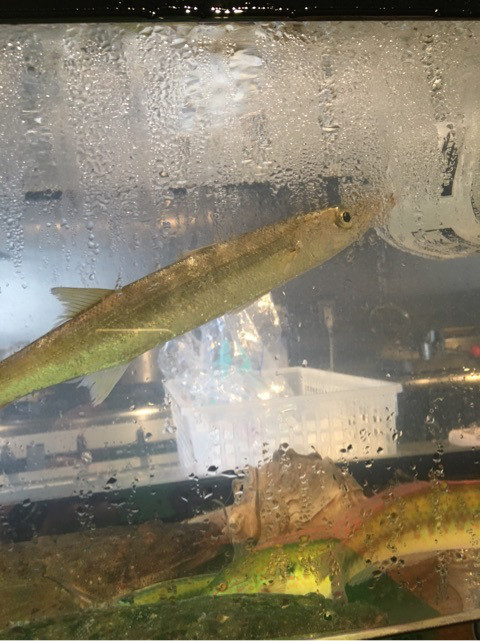 {0BB9C1AA-3668-4D9C-A6C3-96C8F3AD4A2A}