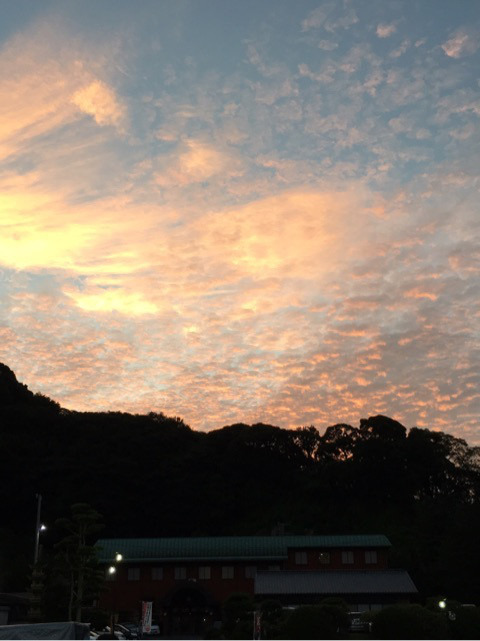 {A7A0A0E7-AC99-476C-873E-E6400313C0D6}