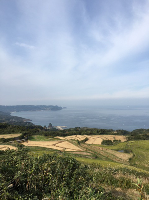 {162F33C8-9001-4A3E-82DC-09B56125B12A}